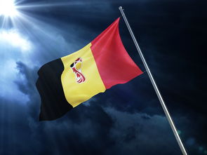 开云下载-TL绝杀KT，德布劳内攻防两端统治比赛强强对话成都决赛之夜，引爆全场热议