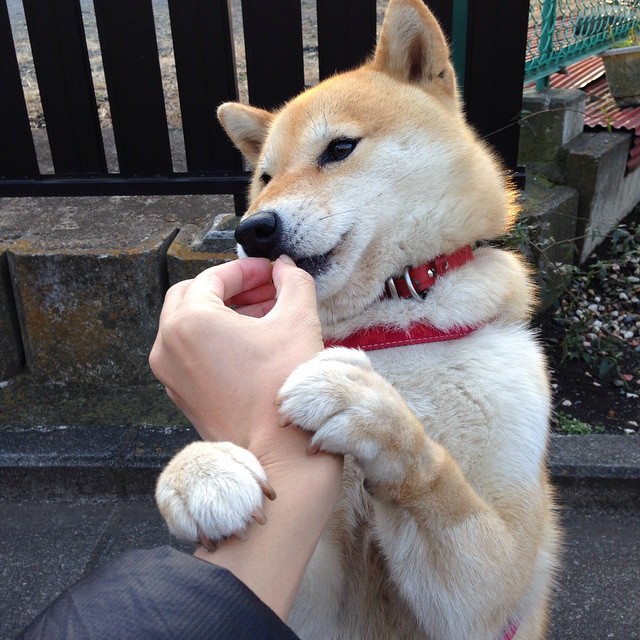 三十而立,四十不惑,当德罗赞与吉林队告诉我们,时间的答案是什么