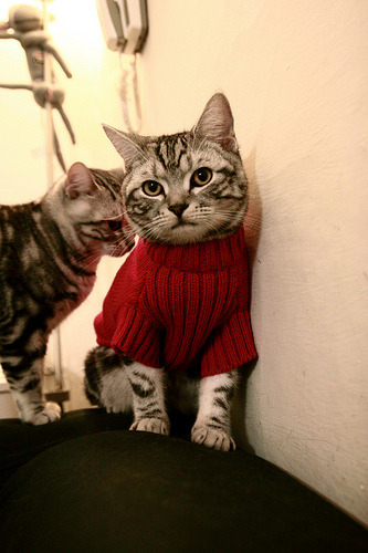 开云体育在线-钢铁与流沙的角力，当三狮军团的利刃刺穿沙漠之盾—解码年度焦点战，英格兰如何粉碎阿尔及利亚